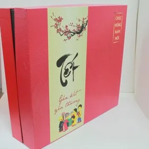 Hộp quà tết đẹp
