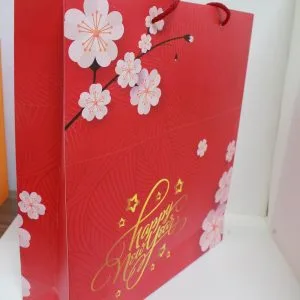 Ảnh minh họa - Túi đựng quà tết giá rẻ