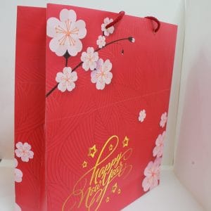 Túi đựng quà tết hoa đào 7 xuong in hop qua tet gia reIMG 3116 20201225 1853141