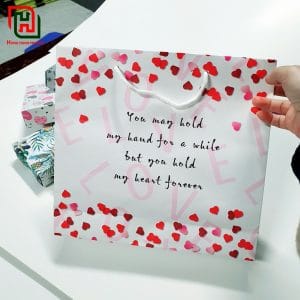 Gợi ý địa chỉ bán túi đựng quà cao cấp giá rẻ tại Hà Nội 6 Túi giấy đựng quà