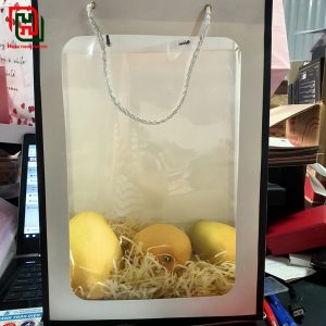 Các mẫu túi đựng quà cao cấp dành tặng người thân trong dịp Trung thu 6 Ảnh minh họa - Túi đựng quà cao cấp