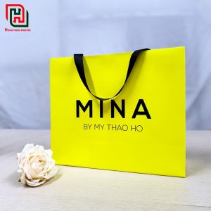 Có nên mua túi đựng quà cao cấp tặng sếp trong dịp Tết? 4 Túi đựng quà giá rẻ
