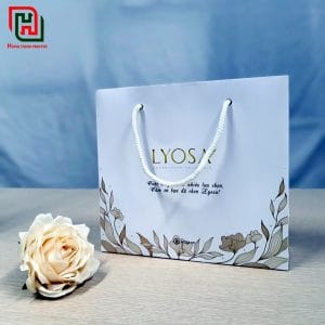 Gợi ý địa chỉ bán túi đựng quà cao cấp giá rẻ tại Hà Nội 4 Túi đựng quà giá rẻ