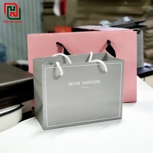 Có nên mua túi đựng quà cao cấp tặng sếp trong dịp Tết? 5 Túi đựng quà giá rẻ