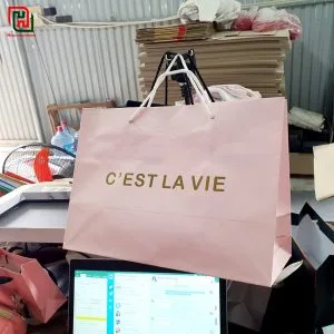 Túi giấy đựng quà giá sỉ