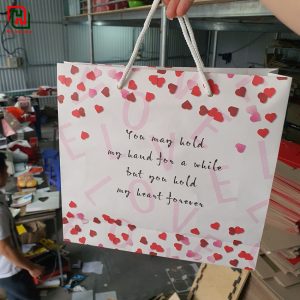 Túi đựng quà tặng bạn gái