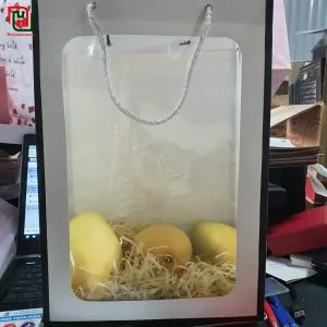 In túi giấy đẹp giá rẻ