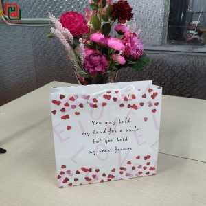 Túi đựng quà đẹp
