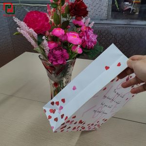 Túi đựng quà tặng bạn gái