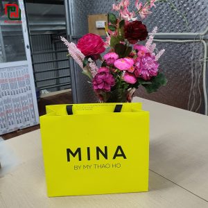 Túi giấy màu vàng MINA #19 10 Túi đựng quà đẹp giá rẻ