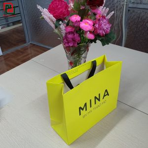 Túi giấy màu vàng MINA #19 13 Túi giấy đựng quà đẹp giá rẻ