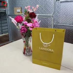 Túi giấy đựng quà đẹp giá rẻ