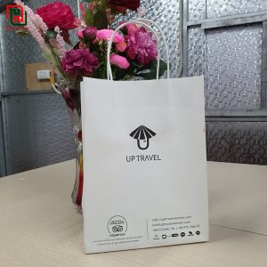 Túi giấy màu đen Lý Gia Cát #5 14 Túi giấy đựng quà đẹp giá rẻ