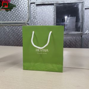 Túi đựng quà giá rẻ
