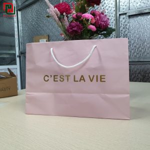 Túi giấy màu hồng Luxy Clothing #2 20 Túi giấy đựng quà đẹp