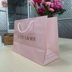 Túi giấy màu hồng đẹp CEST LA VIE #14 10 Túi giấy đựng quà đẹp giá rẻ
