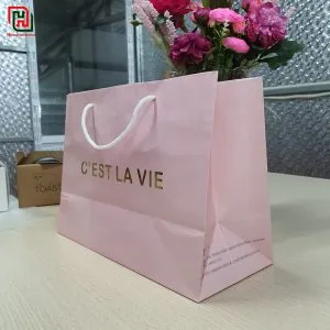 Túi giấy đựng quà đẹp giá rẻ