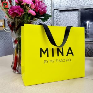 Túi giấy đẹp màu trắng Trang Quỳnh Cồ #21 10 Túi giấy đựng quà đẹp giá rẻ