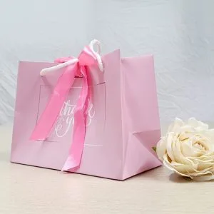 Túi giấy đựng quà đẹp