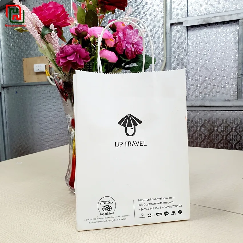 Túi giấy đựng quà đẹp giá rẻ