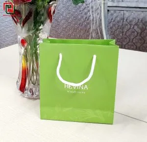 Túi giấy đựng quà đẹp giá rẻ