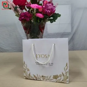 Alternative view of Túi giấy màu trắng LYOSA #18