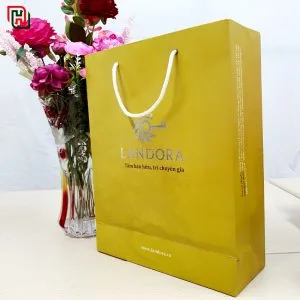 Túi giấy đựng quà đẹp giá rẻ