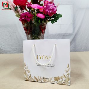 Túi giấy màu trắng LYOSA #18 7 Túi giấy đựng quà đẹp