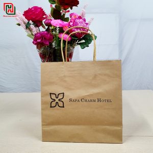Túi giấy đựng quà có sẵn #23 24 Túi giấy đựng quà đẹp giá rẻ