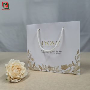 Túi giấy đựng quà có sẵn #23 22 Túi đựng quà đẹp giá rẻ
