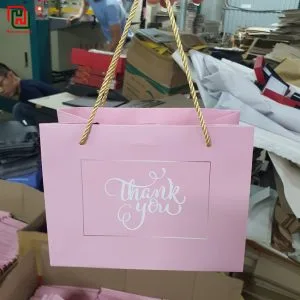 Túi giấy đựng quà giá sỉ