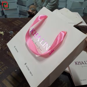 Túi giấy đựng quà đẹp giá rẻ