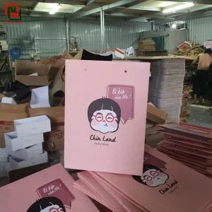 Túi đựng quà đẹp giá rẻ