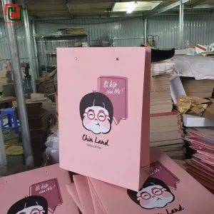 Túi đựng quà đẹp giá rẻ