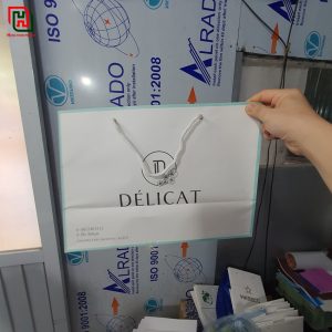 Túi giấy màu trắng DELICAT #8 4 Túi giấy đẹp giá sỉ