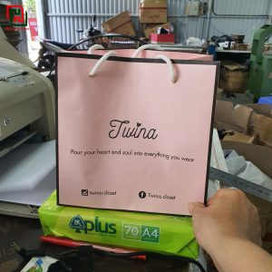 Túi giấy màu hồng Twina #6 6 Túi giấy đựng quà đẹp giá rẻ