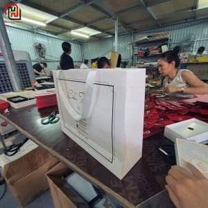 Túi giấy màu trắng đẹp