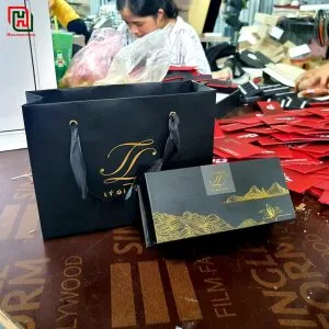 Túi giấy đựng quà đẹp giá rẻ