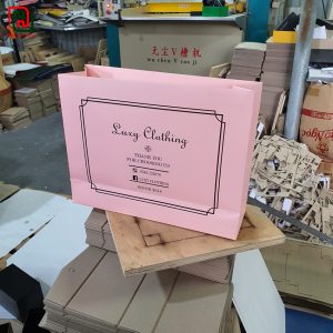 Túi giấy màu hồng Luxy Clothing