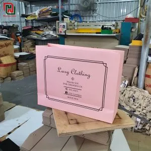 Túi giấy màu hồng Luxy Clothing