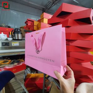 Túi giấy đựng quà màu hồng Giang Thanh Nguyễn #1 8 Túi giấy đựng quà đẹp giá rẻ