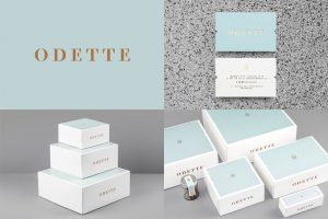 From Dmowski Co Mogollon and Studio fnt