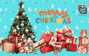 Hop qua giang sinh 1