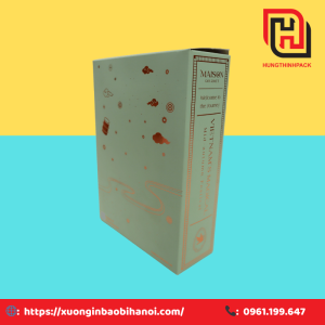 Hop dung qua Maison 3