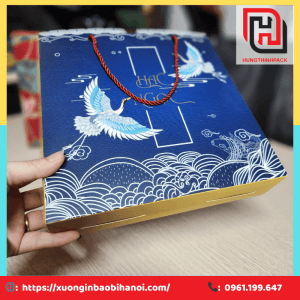 Hop dung banh trung thu Hac Ngoc TT08 2