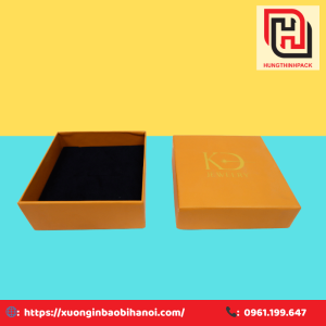 Hop dung trang suc cc12 4