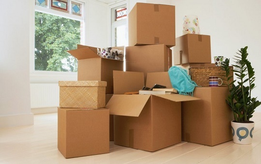 Hộp carton giá sỉ chất lượng - Giá gốc tận xưởng tại Hà Nội 3 Hop carton tai ha noi