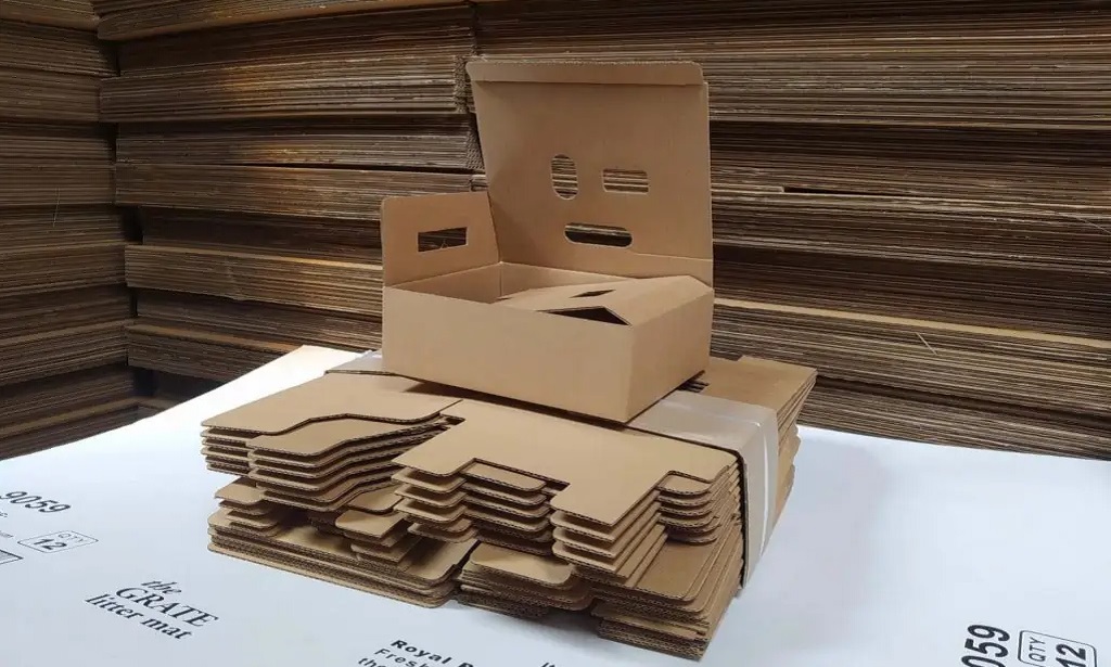 bmp thung carton 2022 3 1