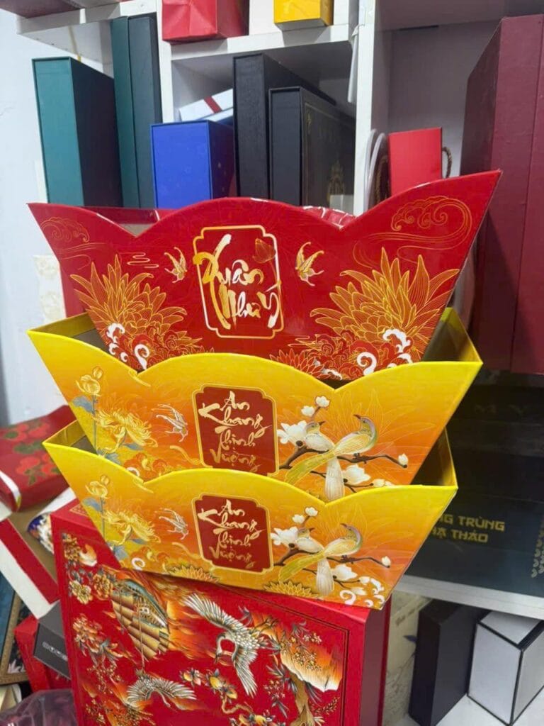 619649091 1612166177581852 2433476399286863934 n